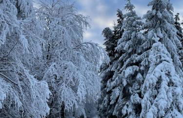 Berghütte Astenpanorama - Foto 35