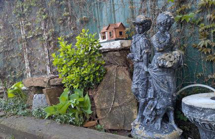 The Prancing Pony Guest House at Edendell - Foto 4