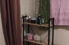 Little House - Photo 8