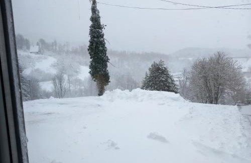 Apartman Purga - Foto 20