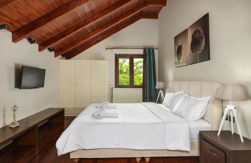 Vintage Suites Trikala - Foto 2