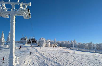 Apartmán Almberg - Mitterdorf - Mitterfirmiansrout - Foto 25