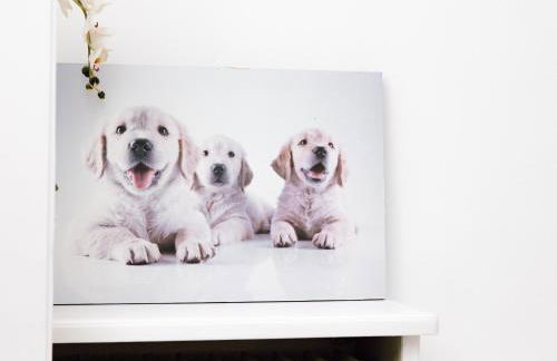 Hubertus III - Foto 52