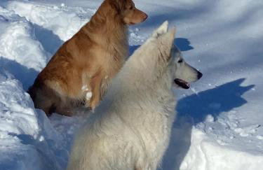 Rifugio Futopia - start here your journey to the discovering of the Alpi Graie - Foto 44