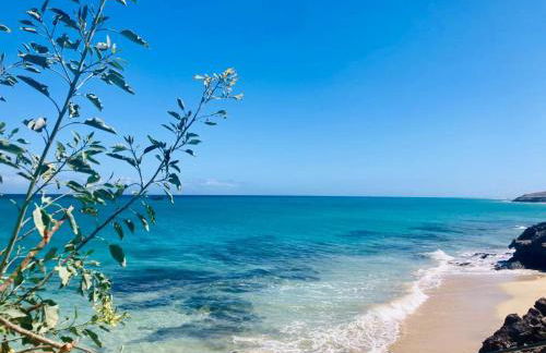 Lugar del Sol - Photo 24