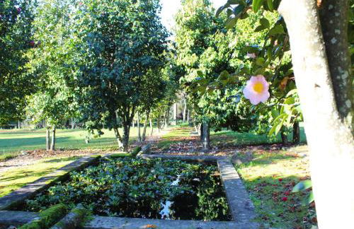 Cottage in Santa Comba with Pool - Photo 25