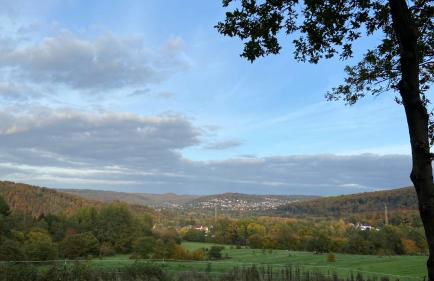 Charaktervolle Whg mit Parkplatz nähe Kassel - Foto 48