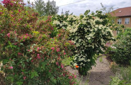 Großzügige Ferienwohnung am Waldesrand im Seenland - Foto 31