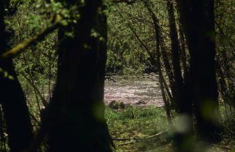 Le Case di Rosie, Tuscan Mountain View apartment, Pool - Foto 3