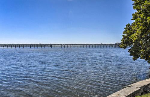 Pool, Dock & Kayaks: Waterfront Palmetto Home - Foto 40