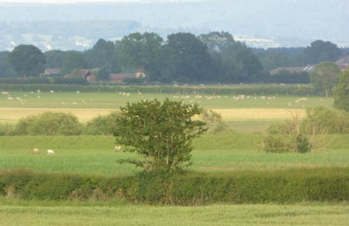 High Oak Holiday Cottage - Foto 26