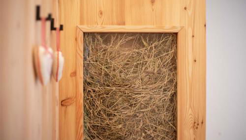 Pliegermoar - Adults Only - Foto 3