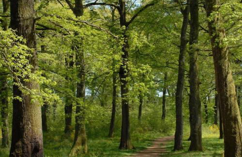 La terrazza sul Borgo di Quadroni - Foto 22