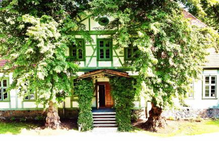 Ferienvilla Jagdschloss Friedrichsmoor - Foto 9