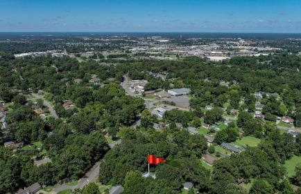 Firefly Garden - Foto 48