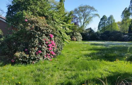 Ferienwohnung Morgensonne - Foto 6