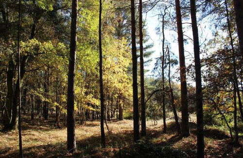 Ferienhaus Frado - Foto 9