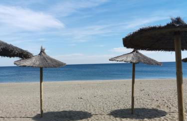 Beach Diamond - Photo 26