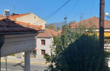 "Αλέξανδρος Δισπηλιό" Καστοριά - Foto 12