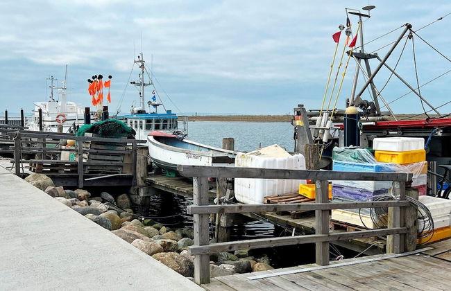 4 Person Holiday Home in Wendtorf - Foto 39