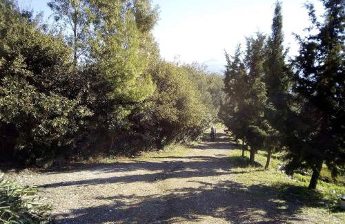 Old Olive house - Foto 13