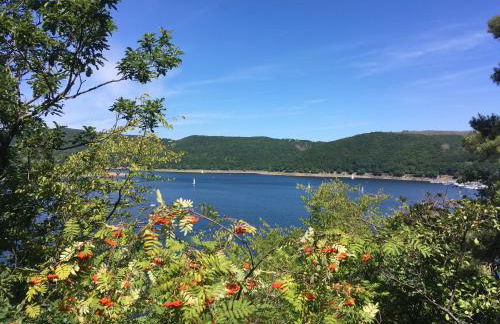 Rurseeparadies Kienert - Foto 52