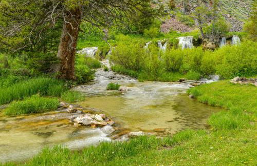 Remote Mountain Vacation Rental in Wyoming Range! - Foto 38