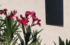 Mas en Provence - Photo 41