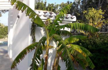 Casa Belle - Photo 16