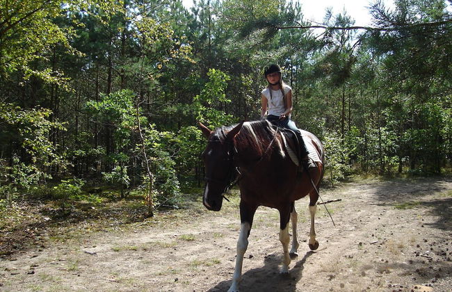 Sasek Maly Pensjonat Jazdy Konne - Foto 78
