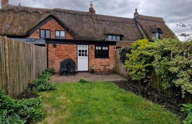 Little Lucy - Foto 15