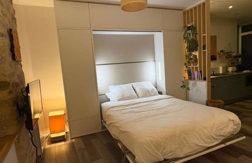 Charmant studio avec terrasse hyper-centre de Vannes à 5 min du Port et des Remparts - Foto 19