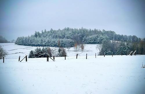 Villa 200m2 avec PISCINE chauffée & SPA & sauna & kota-grill - Foto 55