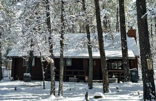 Charming Log Cabin in Tall Pines with Fire Pit Near Trails & Lake - Foto 16
