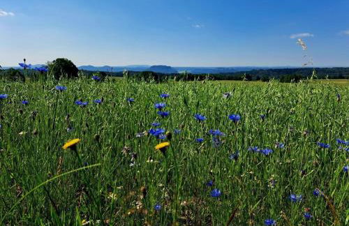 Holiday Apartment FeWo III - Foto 17