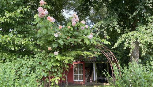 Ferienwohnung "Altes Pastorat" - Foto 4, Garden