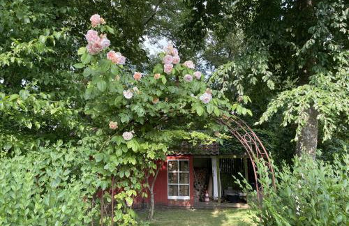Ferienwohnung "Altes Pastorat" - Foto 4