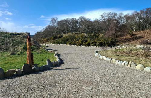 Red Squirrel - Photo 4