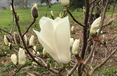 Casa do Cascalho - Foto 10