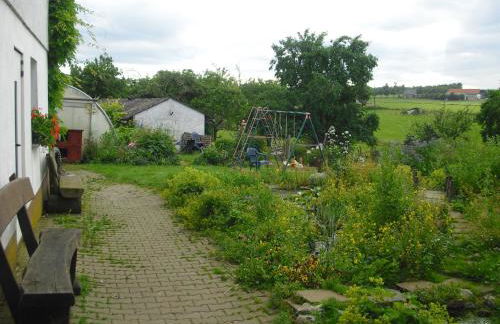 Willekes Blütenhof - Foto 29