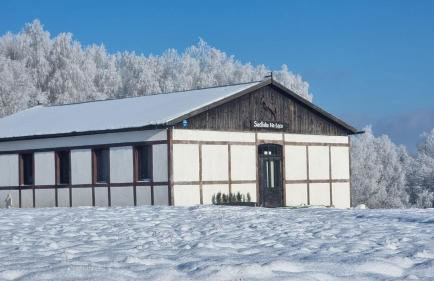 Siedlisko na łące - Foto 17