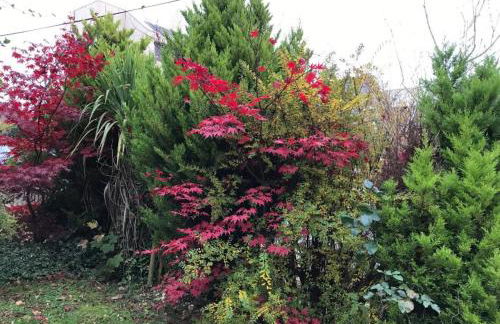 Queens Road Rental - Winchester Accommodation - Foto 84