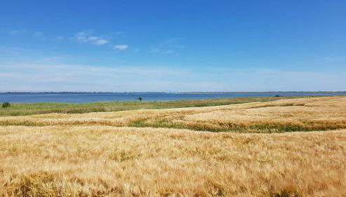 Ferienhaus Sonnenlicht - Familien und Kiter "Willkommen" - Foto 4