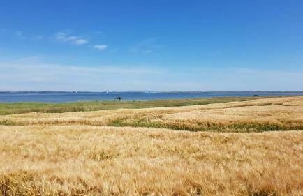Ferienhaus Sonnenlicht - Familien und Kiter "Willkommen" - Foto 4