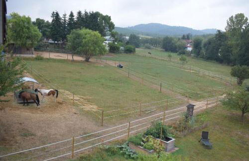 Sauers Schwarzwaldglück - Foto 10