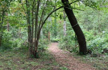 Ferienhaus Fuxbau - Foto 56