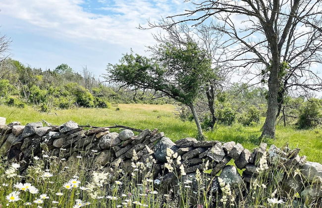 3 Person Holiday Home in Lottorp - Foto 16