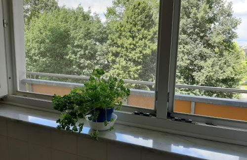 HomeSweetHome Free Parking Wifi Elevator Balcony - Foto 25