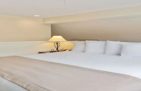 Chase Suite Hotel Rocky Point Tampa - Foto 7