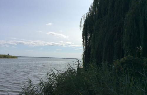 Feriendomizil Wohltat - Foto 30